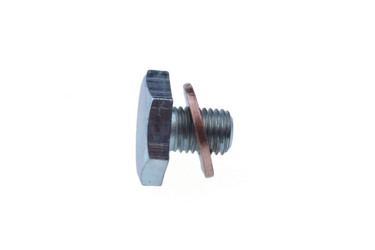 CARTERPLUG PSA M10X1,25X13 21HEX 3