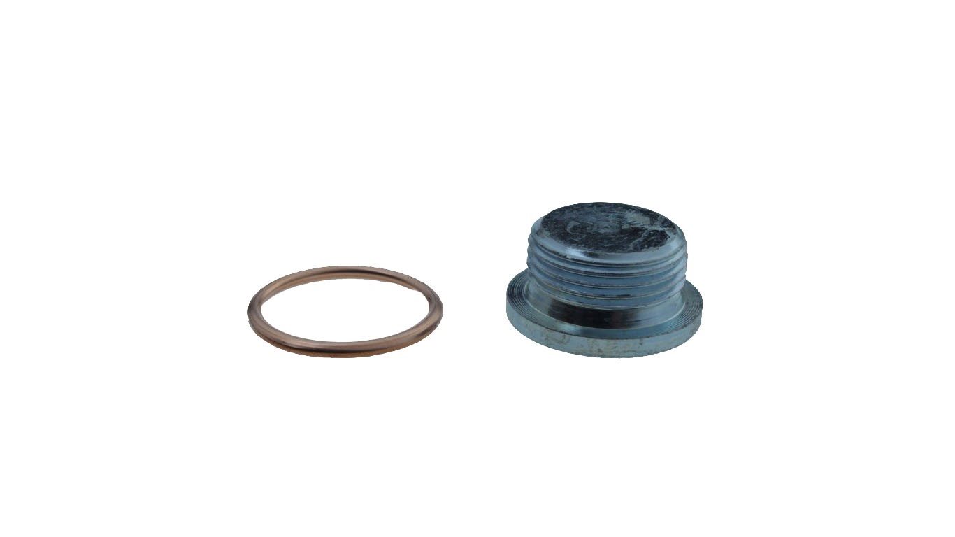 CARTERPLUG DAF M22X1,5X10 10INBUS