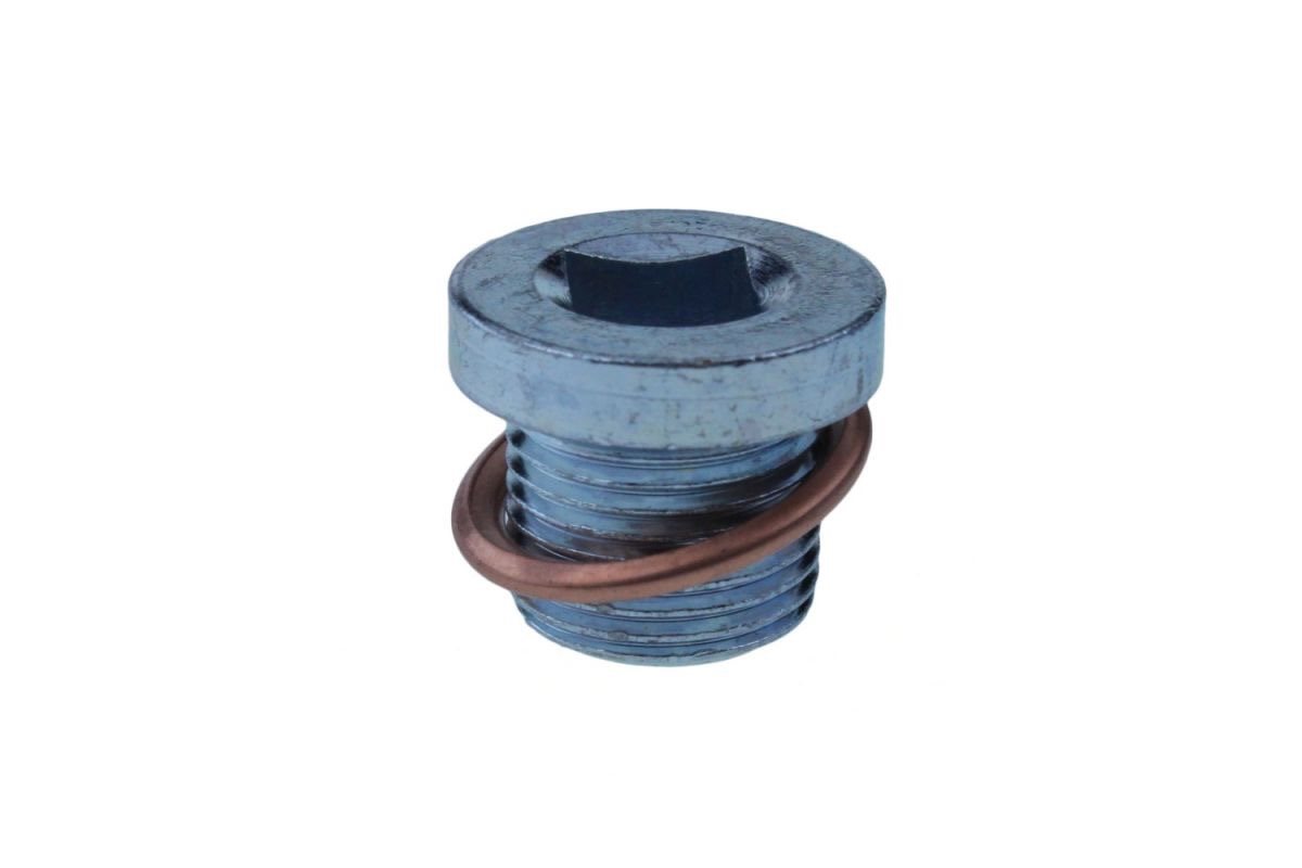 CARTERPLUG FORD RENAULT M18X1,5X15 8SQUARE 3