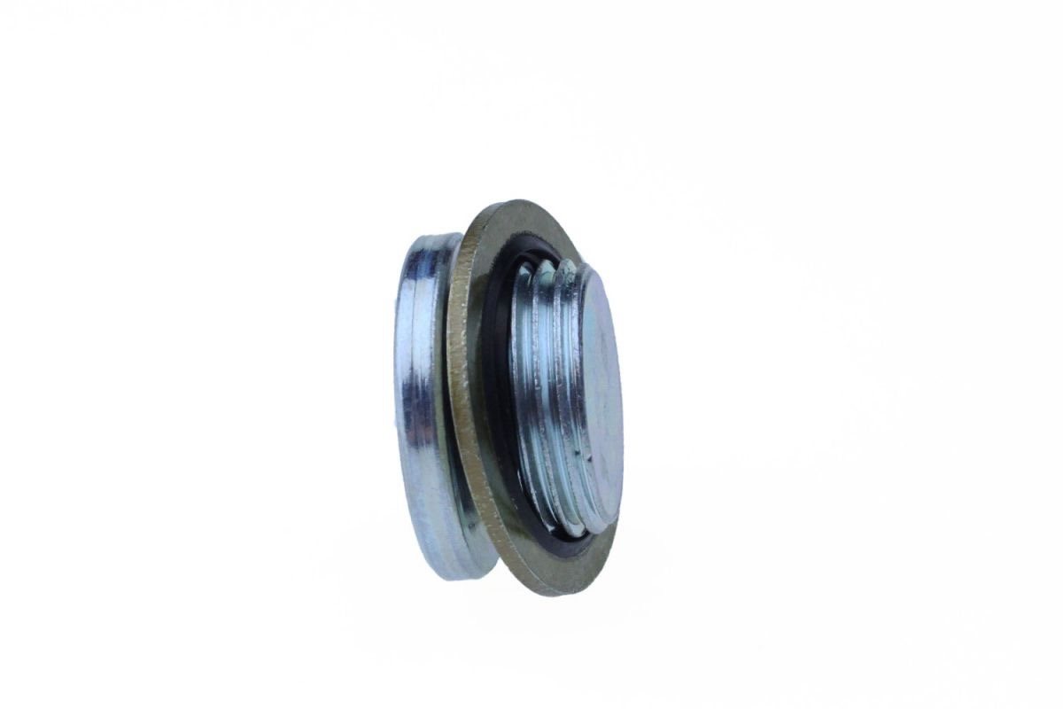 CARTERPLUG FORD PEUGEOT VOLVO M20X1,5X11 12INBUS 3