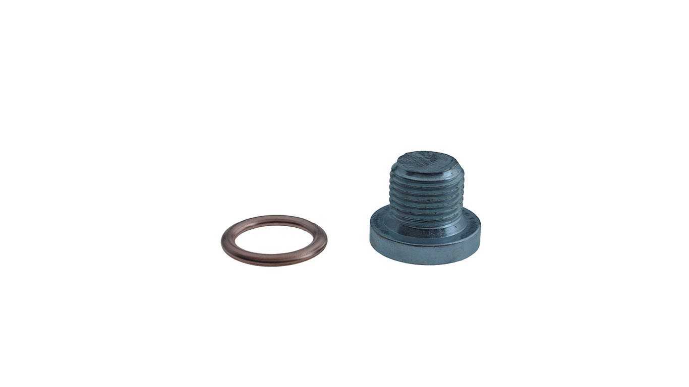 CARTERPLUG PEUGEOT M14X1,25X12 8INBUS