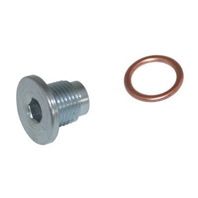 CARTERPLUG BMW PEUGEOT M16X1,5X15 8INBUS