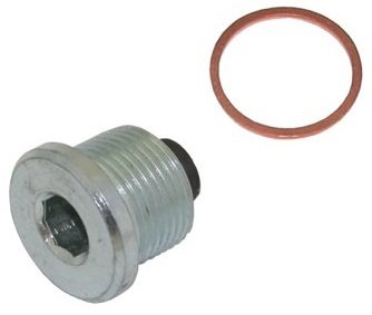 CARTERPLUG DAF M22X1,5X15 10INBUS