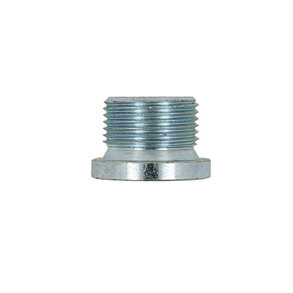 CARTERPLUG HD MAN M22X1,5X14 10INBUS OE: 06080420607