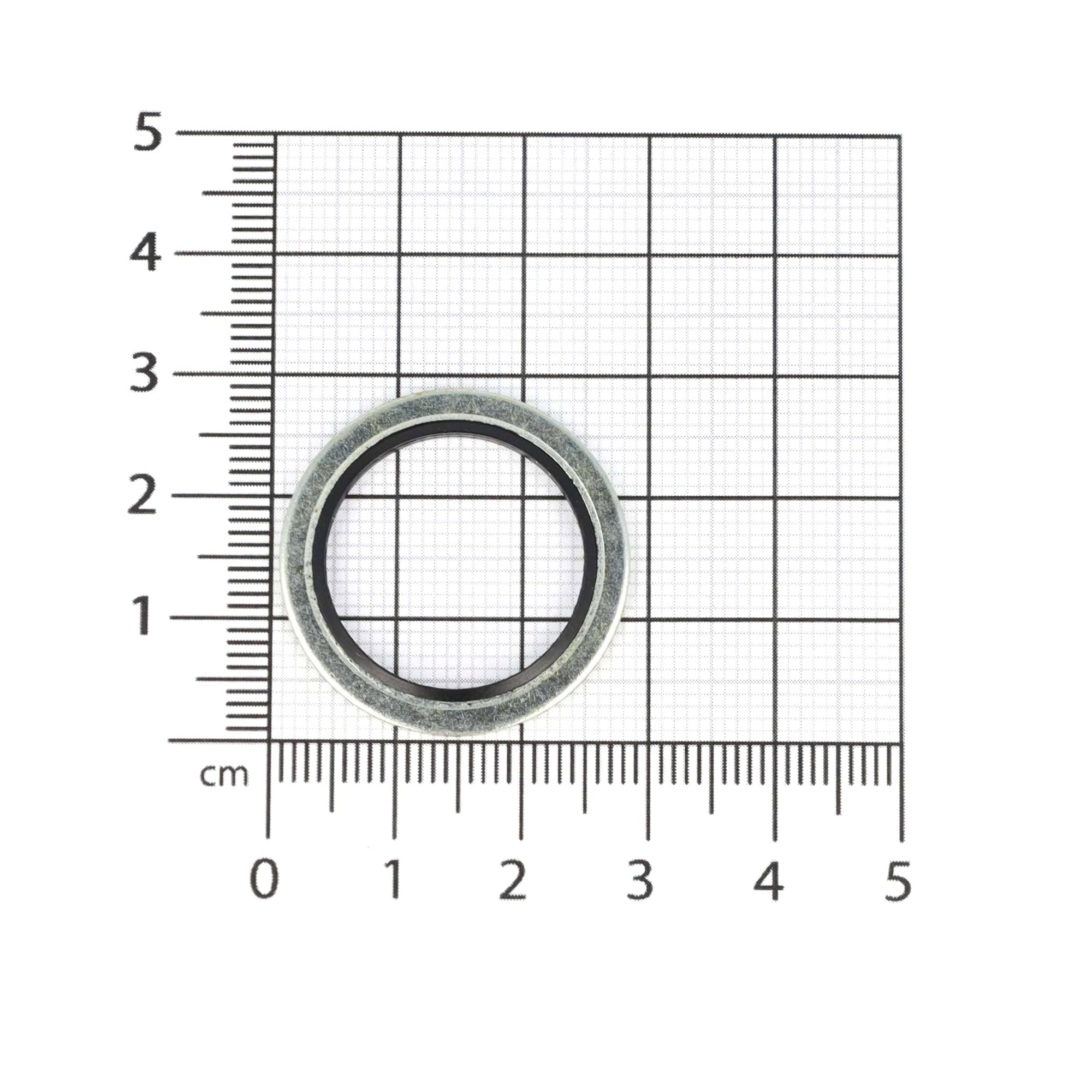 AFDICHTRING BS T1 20,7X28X1,5 2