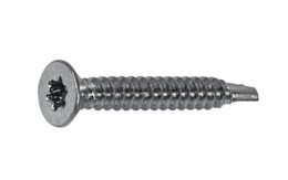 BOORSCHROEF DIN7504PT VERZONKENKOP TORX 3,9X19