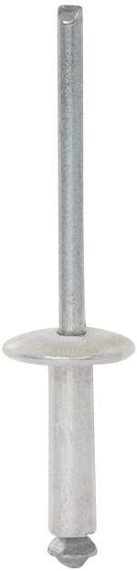 BLIND KLINKNAGEL RENAULT 4,8X16 OE: 7711171119