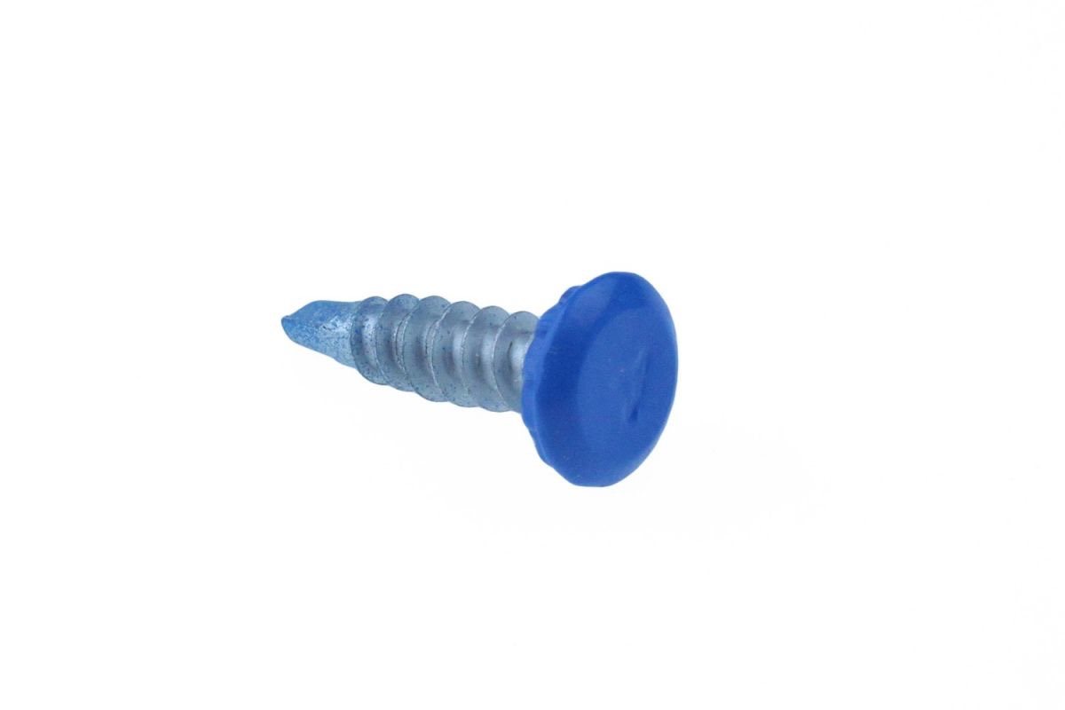 KENTEKENPLAATSCHROEF ANTIDIEFSTAL BLAUW 6X29 4