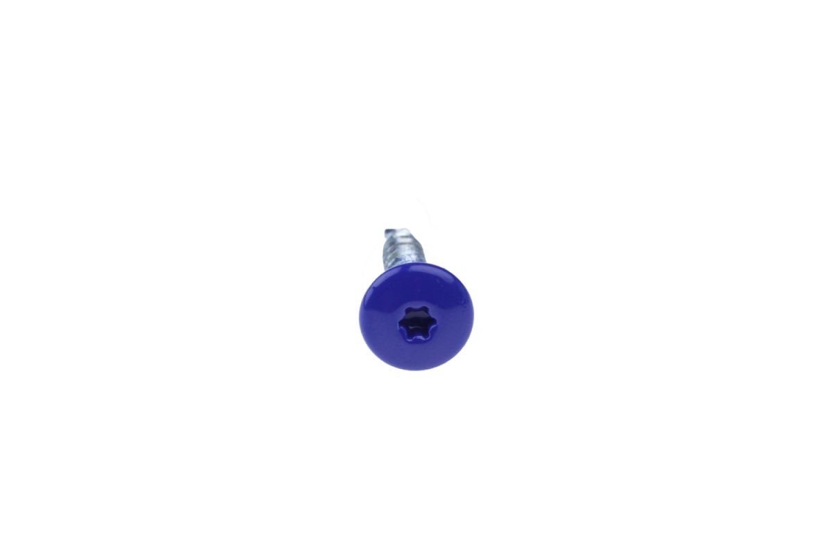 KENTEKENPLAATSCHROEF RVS BLAUW 4,8X20 2
