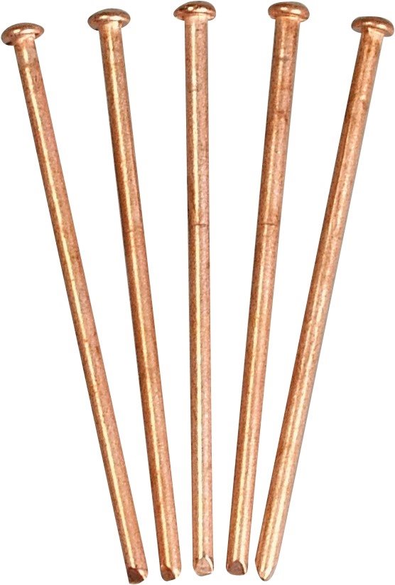 SPOTTERNAGELS KOPER 2,5X50MM