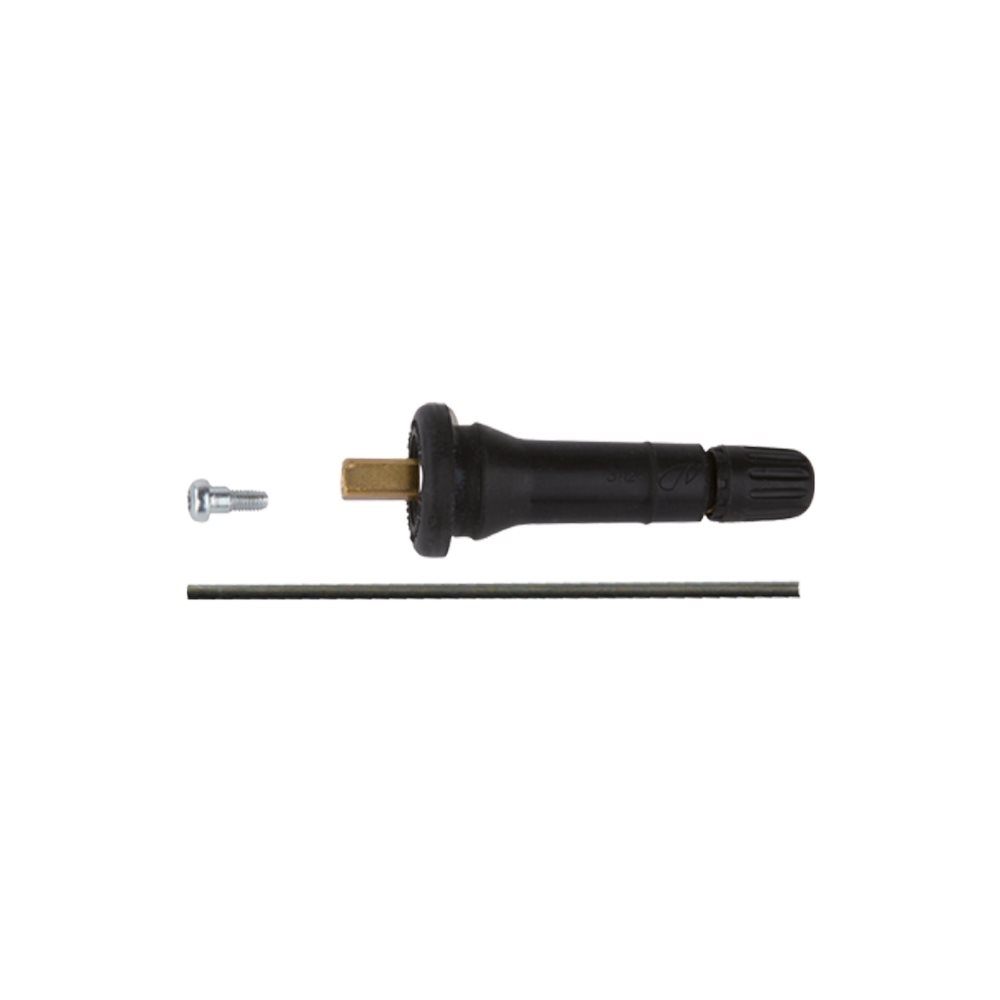 SCHRADER 5033 SNAP-IN VALVE FARADAY, EZ-2.0