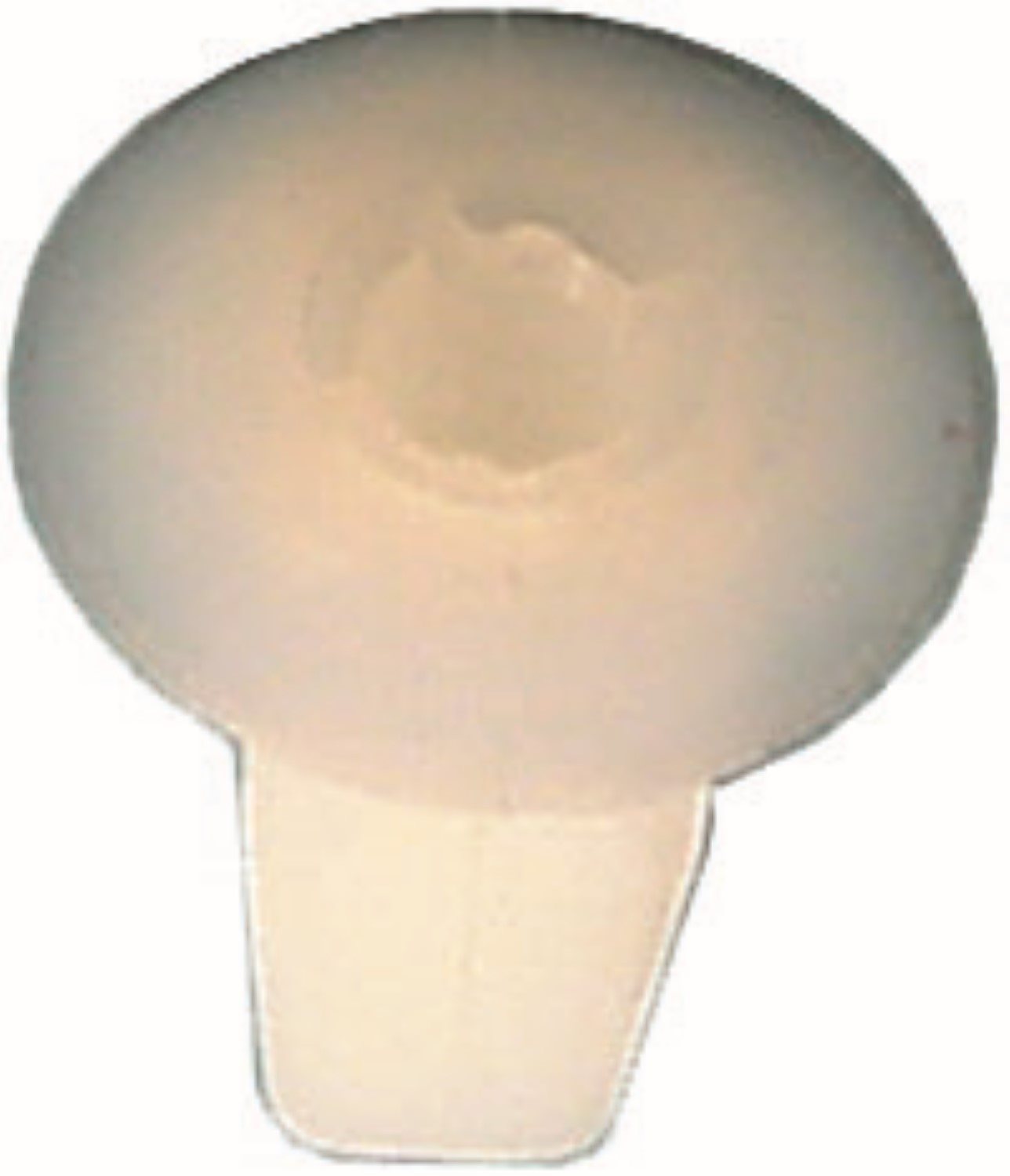 BEVESTIGINGSCLIP OE: 321813988A