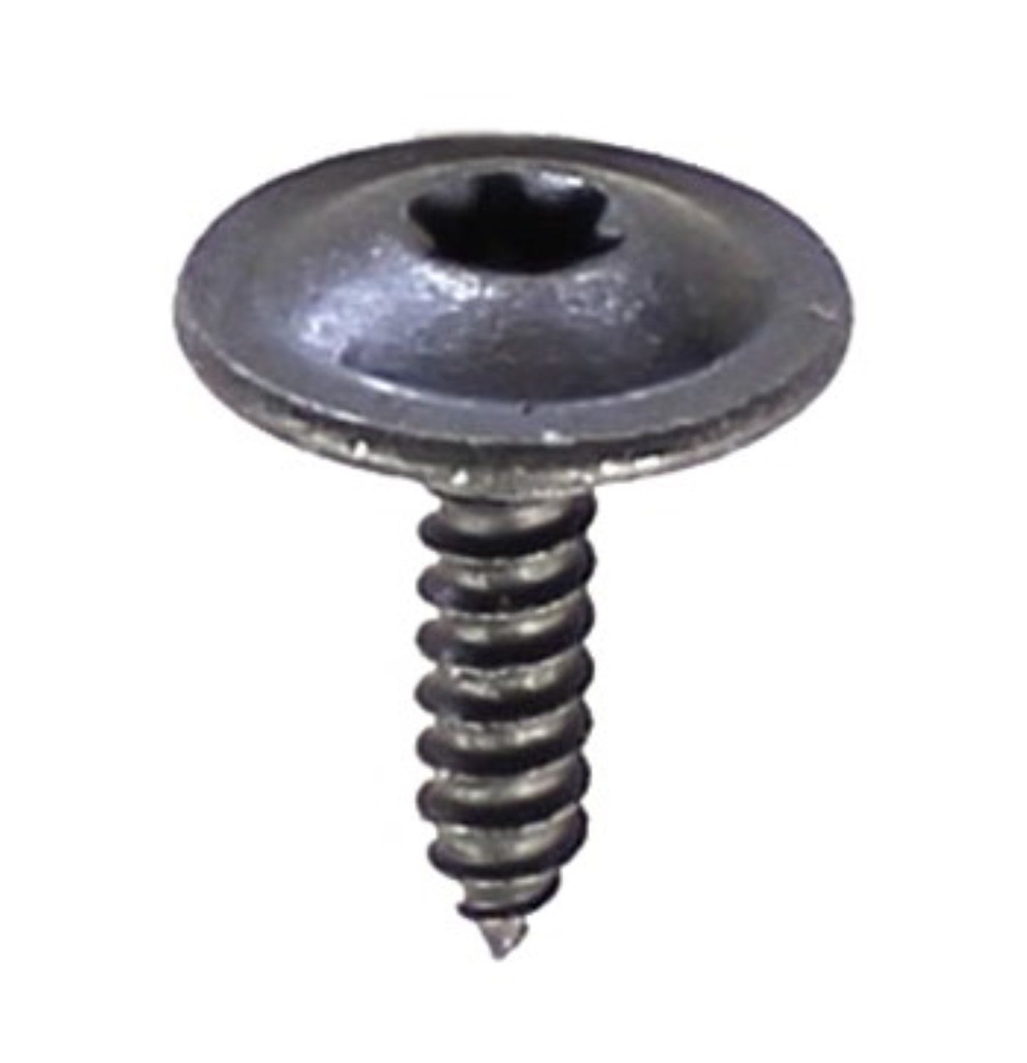 PLAATSCHROEF XXL KRAAG ZWART TORX 5,0X16