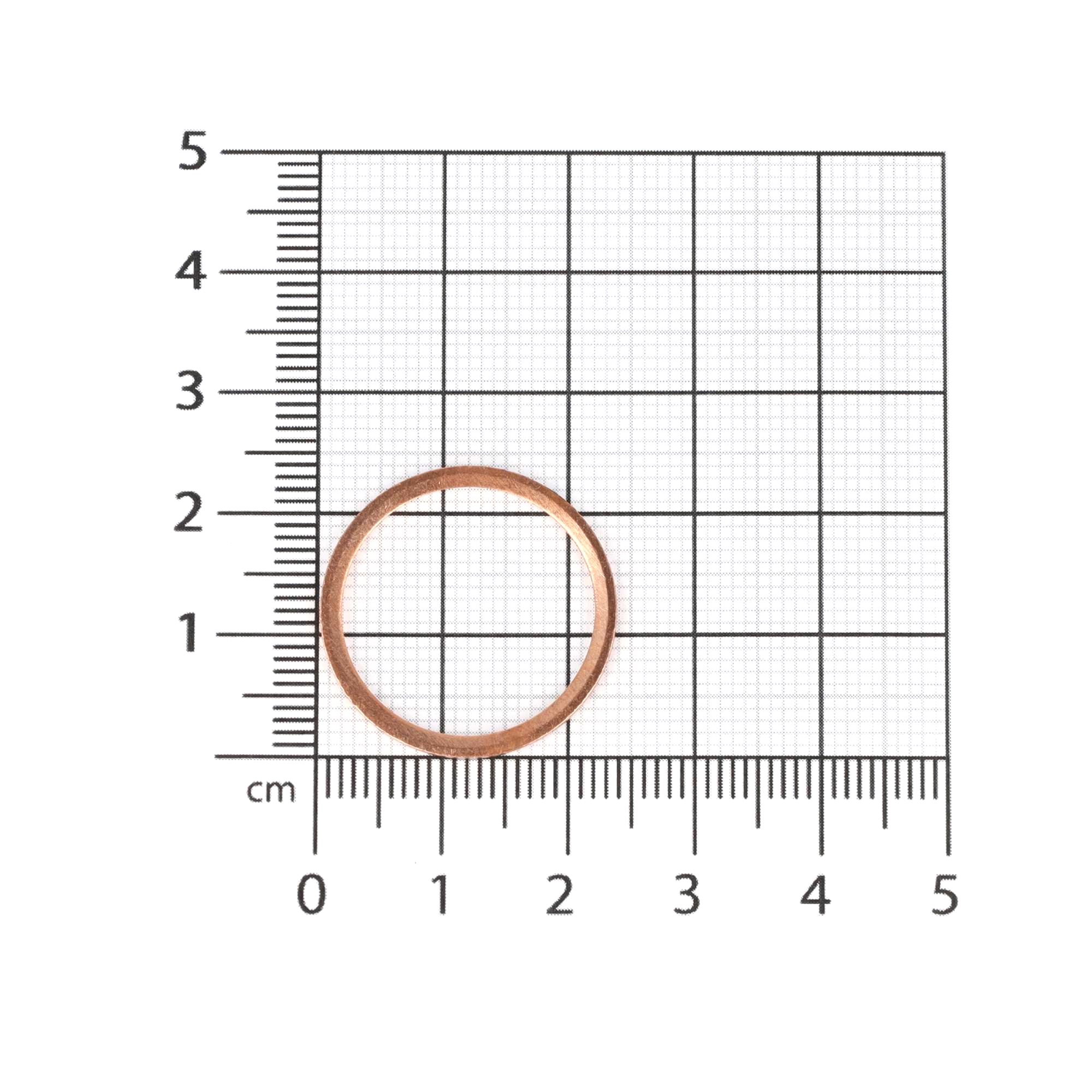 SEALING RING COPPER 20X24X1.5 2
