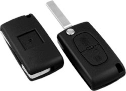AUTOSLEUTEL LEGE BEHUIZING MET 2 KNOPJES