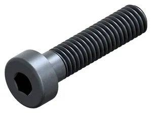 SCHROEF LCK 10.9 DIN7984 MET BZK M12X25