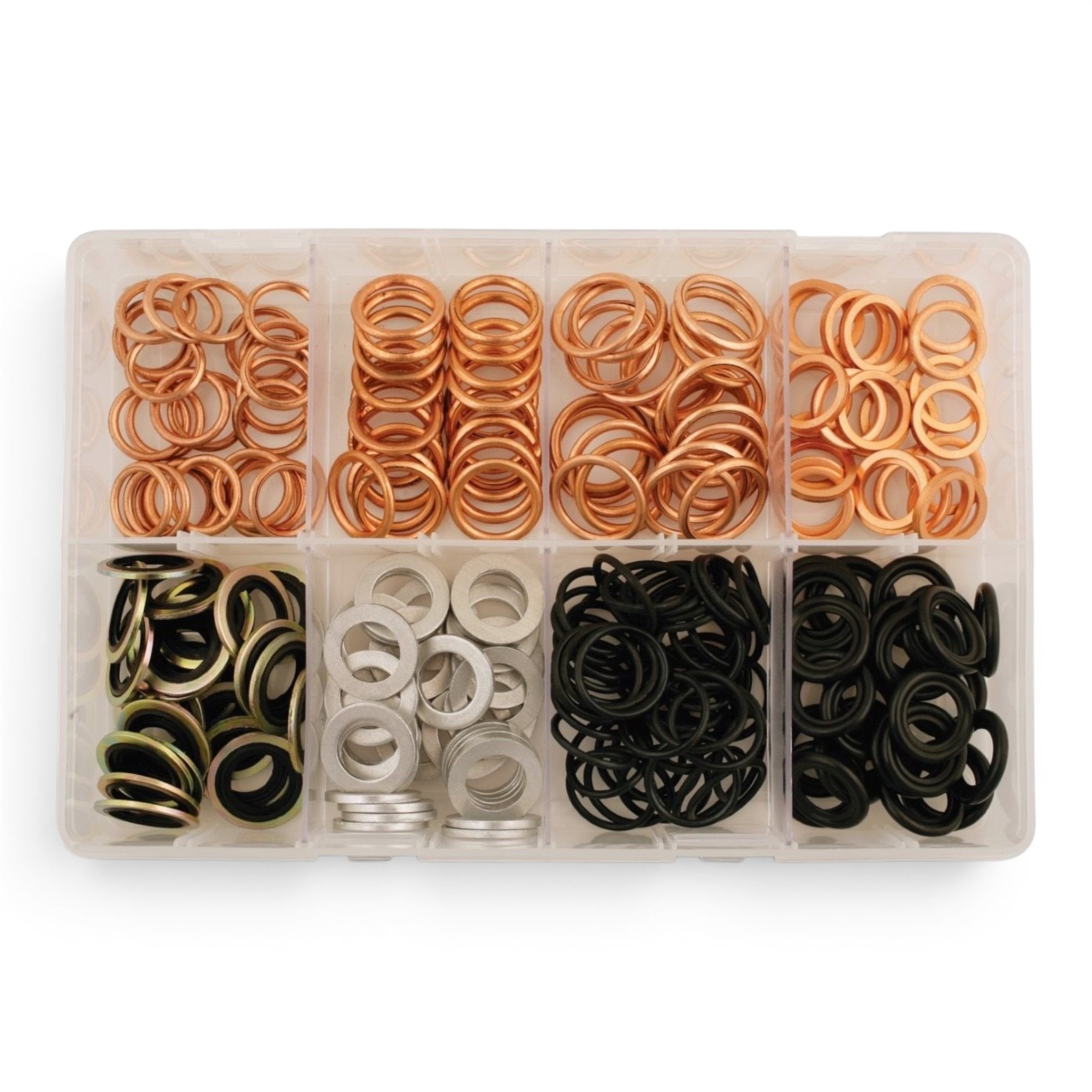 Carterpluggen & Ringen